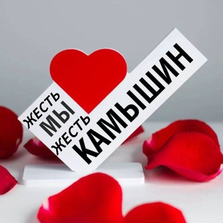 Telegram Channel logo zhestkamyshin. Free Telegram Channel Analytics