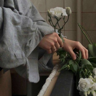 Логотип Телеграм канала . Бесплатная аналитика Telegram каналов