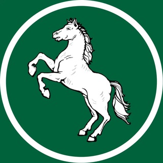 Telegram Channel logo +ZlzA928FcYkyNGNi. Free Telegram Channel Analytics