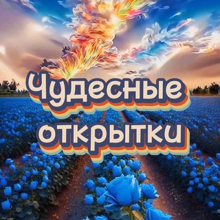 Telegram Channel logo +9dEn441Ns2dkNzVi. Free Telegram Channel Analytics