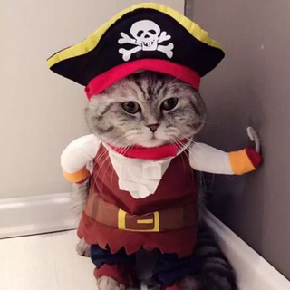 Логотип Телеграм канала Alexis_pets. Бесплатная аналитика Telegram каналов