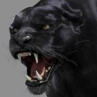 Telegram Channel logo SANTINQ. Free Telegram Channel Analytics