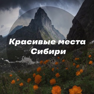 Логотип Телеграм канала viewsiberia. Бесплатная аналитика Telegram каналов