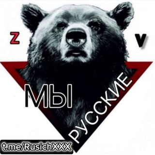 Логотип Телеграм канала . Бесплатная аналитика Telegram каналов