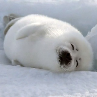 Логотип Телеграм канала Жуковская. Бесплатная аналитика Telegram каналов