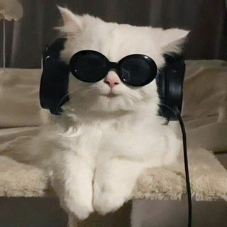 Telegram Channel logo musicalsmeshnyavki. Free Telegram Channel Analytics