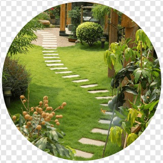 Telegram Channel logo landshaftnyj_dizajn_sad. Free Telegram Channel Analytics