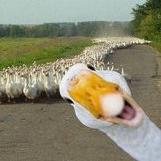 Логотип Телеграм канала . Бесплатная аналитика Telegram каналов