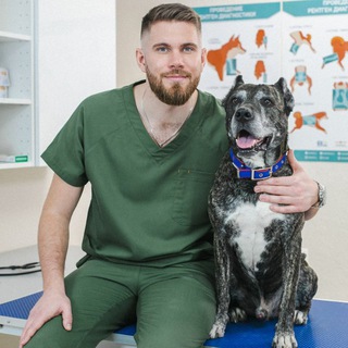 Логотип Телеграм канала . Бесплатная аналитика Telegram каналов