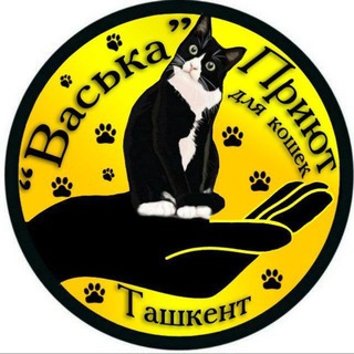 Логотип Телеграм канала koshkitashkentavaska. Бесплатная аналитика Telegram каналов