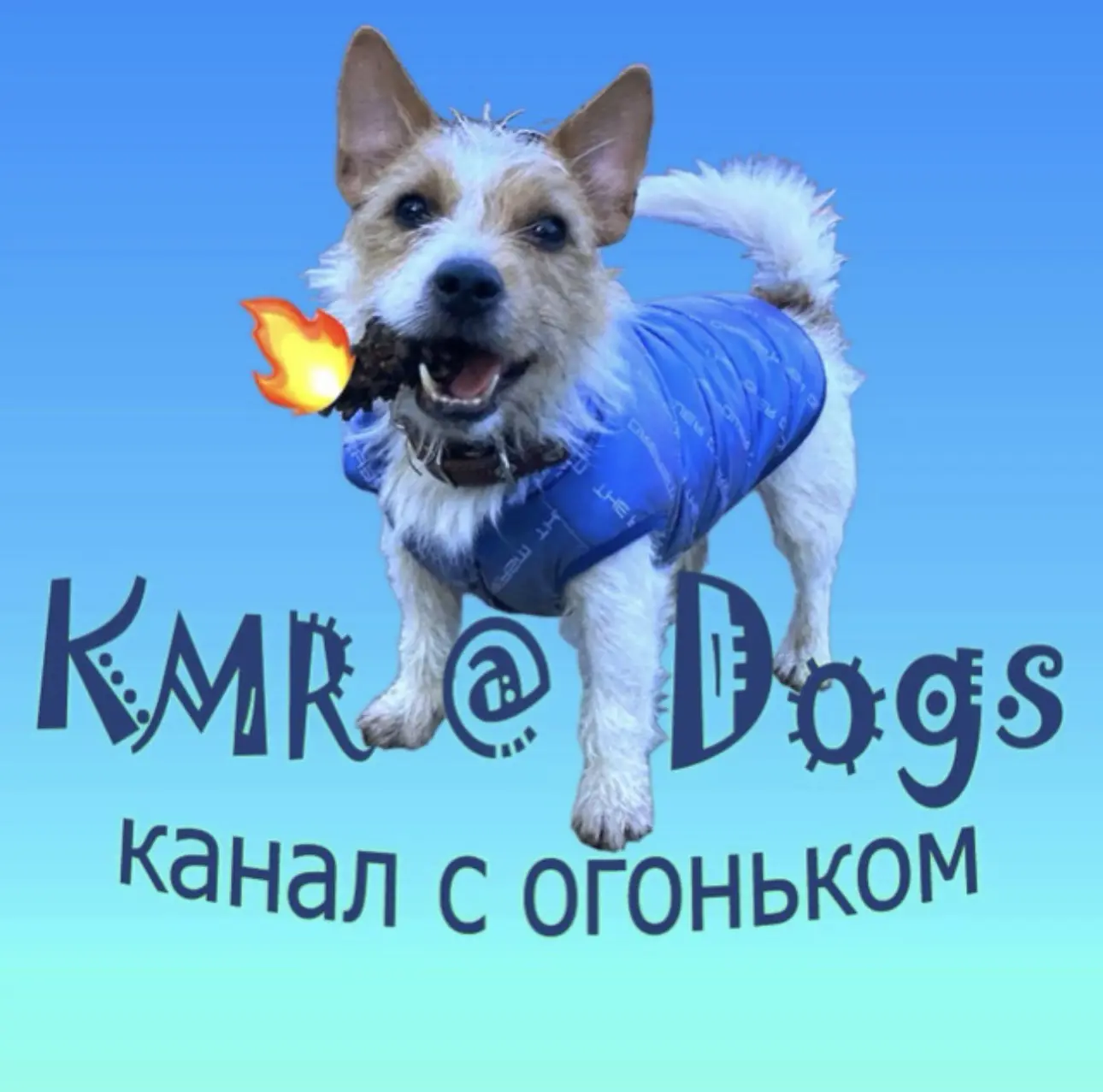Логотип Телеграм канала kmrdogs. Бесплатная аналитика Telegram каналов
