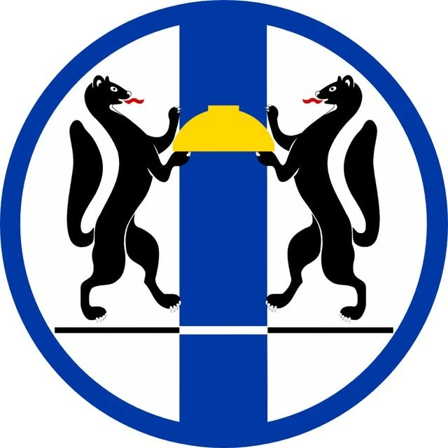 Логотип Телеграм канала nsk_smi. Бесплатная аналитика Telegram каналов