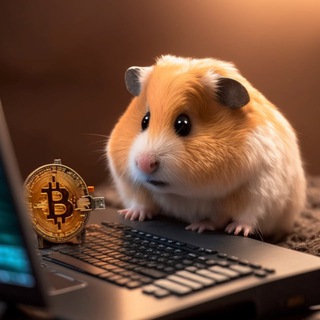 Telegram Channel logo tradernocry. Free Telegram Channel Analytics