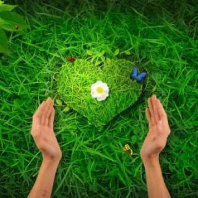 Telegram Channel logo priroda_zdorovye. Free Telegram Channel Analytics