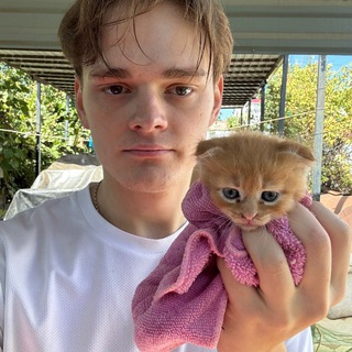 Логотип Телеграм канала . Бесплатная аналитика Telegram каналов