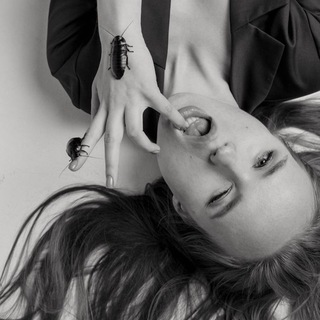 Логотип Телеграм канала . Бесплатная аналитика Telegram каналов