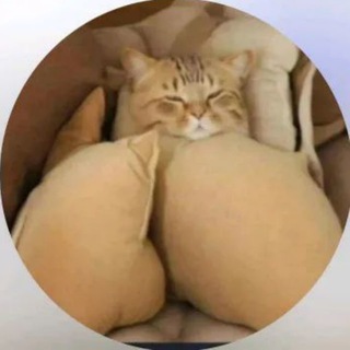 Логотип Телеграм канала erotika_videose_chicas. Бесплатная аналитика Telegram каналов