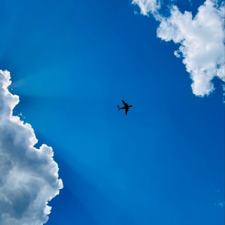 Логотип Телеграм канала . Бесплатная аналитика Telegram каналов