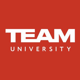 Логотип Телеграм канала TEAM University. Бесплатная аналитика Telegram каналов