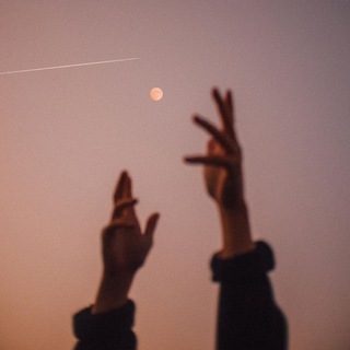 Логотип Телеграм канала P Δ I N. Бесплатная аналитика Telegram каналов