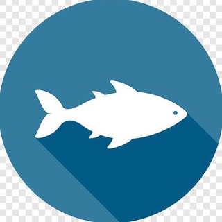 Логотип Телеграм канала rybalka_vrn. Бесплатная аналитика Telegram каналов