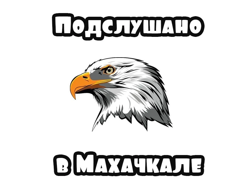 Telegram Channel logo mahachkala. Free Telegram Channel Analytics