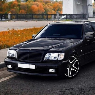 Логотип Телеграм канала . Бесплатная аналитика Telegram каналов