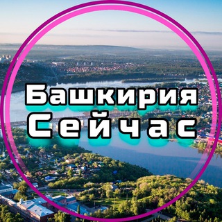 Telegram Channel logo bashkiria_seichas. Free Telegram Channel Analytics
