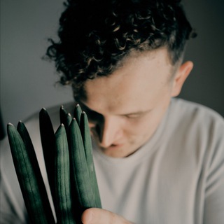 Telegram Channel logo pcheltomsk. Free Telegram Channel Analytics