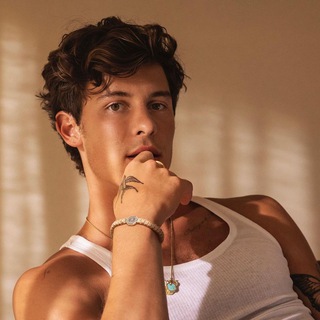 Telegram Channel logo Shawn Mendes Access. Free Telegram Channel Analytics