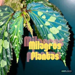 Логотип Телеграм канала . Бесплатная аналитика Telegram каналов