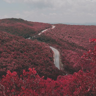 Логотип Телеграм канала Хокку - хуёкку и капелька кендо. Бесплатная аналитика Telegram каналов