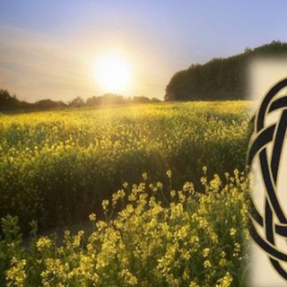 Логотип Телеграм канала 🌴 Туризм 🌴 Путешествие. Бесплатная аналитика Telegram каналов