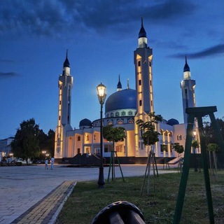 Логотип Телеграм канала . Бесплатная аналитика Telegram каналов