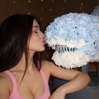 Логотип Телеграм канала . Бесплатная аналитика Telegram каналов