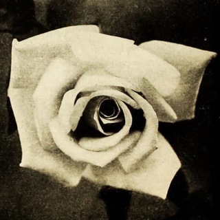 Telegram Channel logo Aufkleber. Free Telegram Channel Analytics