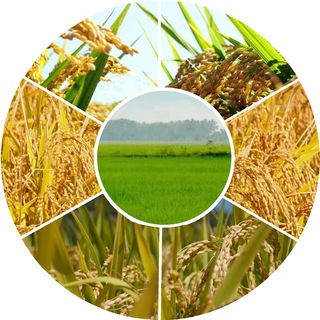 Логотип Телеграм канала selskoe_hozyajstvo_agroprom. Бесплатная аналитика Telegram каналов