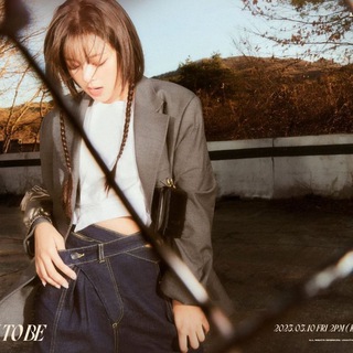 Логотип Телеграм канала . Бесплатная аналитика Telegram каналов