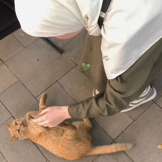 Логотип Телеграм канала بيرفكت 🎀.. Бесплатная аналитика Telegram каналов