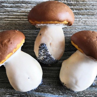 Логотип Телеграм канала gribniki_i_ribalka_v_podmsk. Бесплатная аналитика Telegram каналов