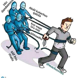 Telegram Channel logo . Free Telegram Channel Analytics