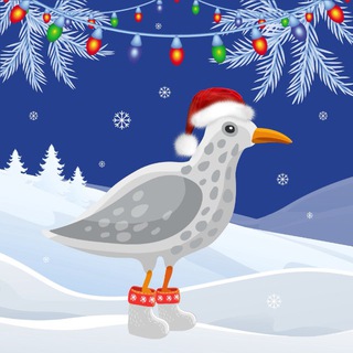 Логотип Телеграм канала primneversleeps. Бесплатная аналитика Telegram каналов