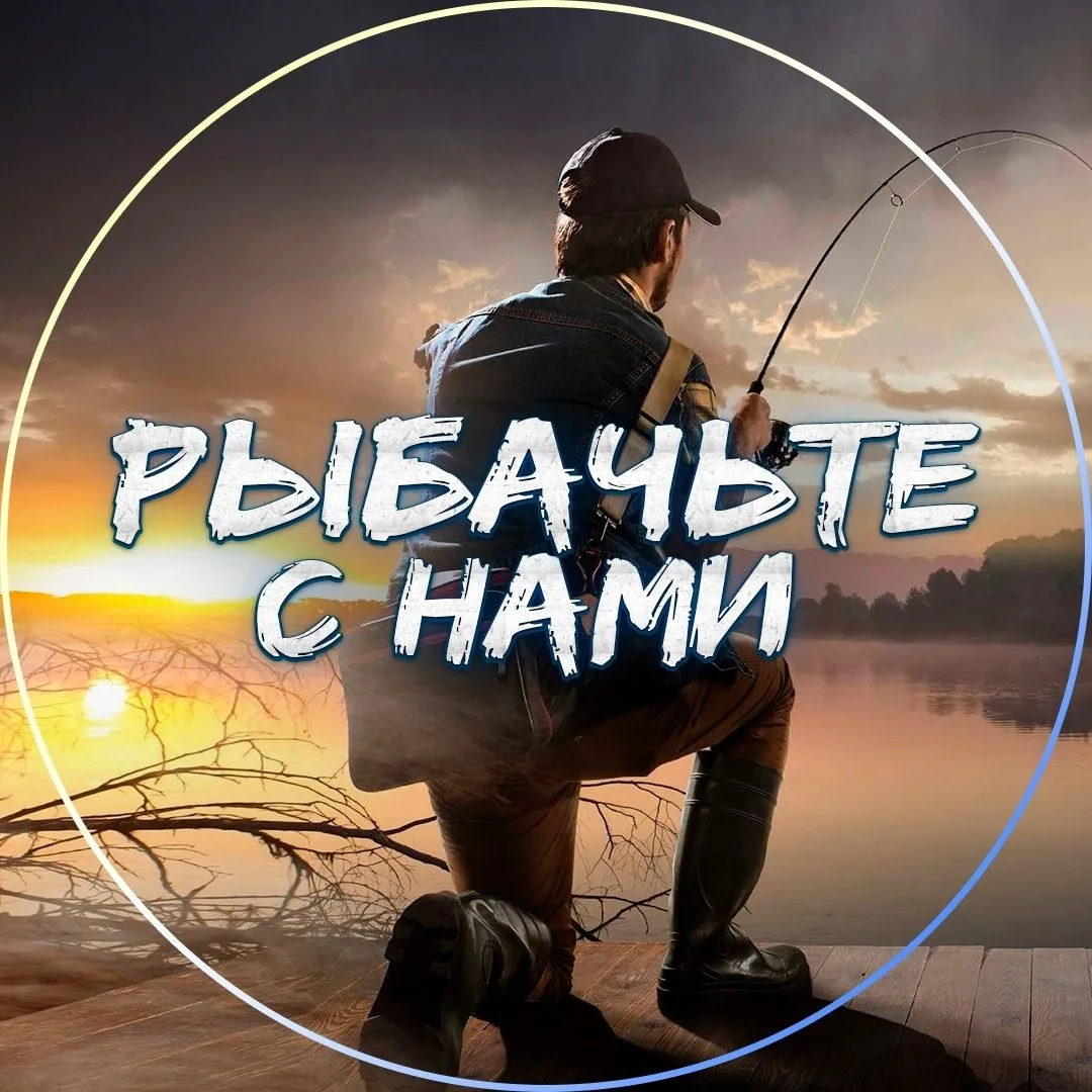 Telegram Channel logo rsn_fishing. Free Telegram Channel Analytics