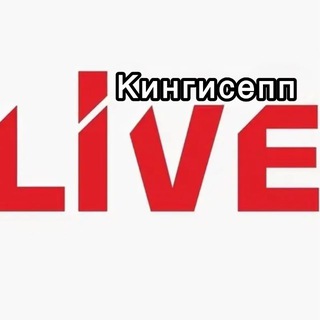 Логотип Телеграм канала kingisepp_livee. Бесплатная аналитика Telegram каналов
