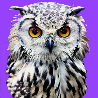 Telegram Channel logo iskystnuy. Free Telegram Channel Analytics