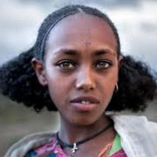 Telegram Channel logo . Free Telegram Channel Analytics