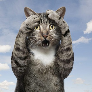 Логотип Телеграм канала +r3ZY95PO7LxjMmZi. Бесплатная аналитика Telegram каналов