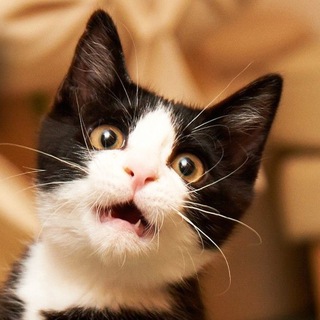 Логотип Телеграм канала votzivi. Бесплатная аналитика Telegram каналов