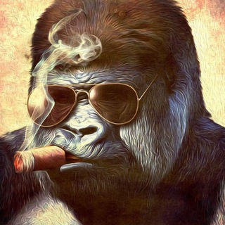 Telegram Channel logo . Free Telegram Channel Analytics