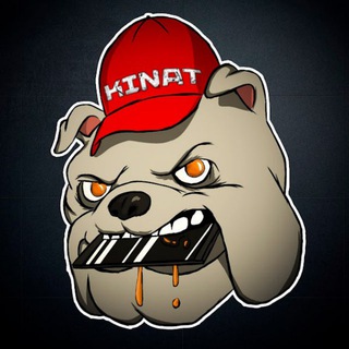 Telegram Channel logo kinatvideo. Free Telegram Channel Analytics
